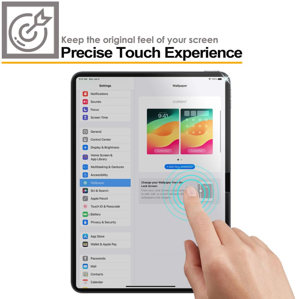 Apple iPad Pro 13" (M4) 2024, 7th Generation Anti Spy, Privacy Tempered Glass Screen Protectors