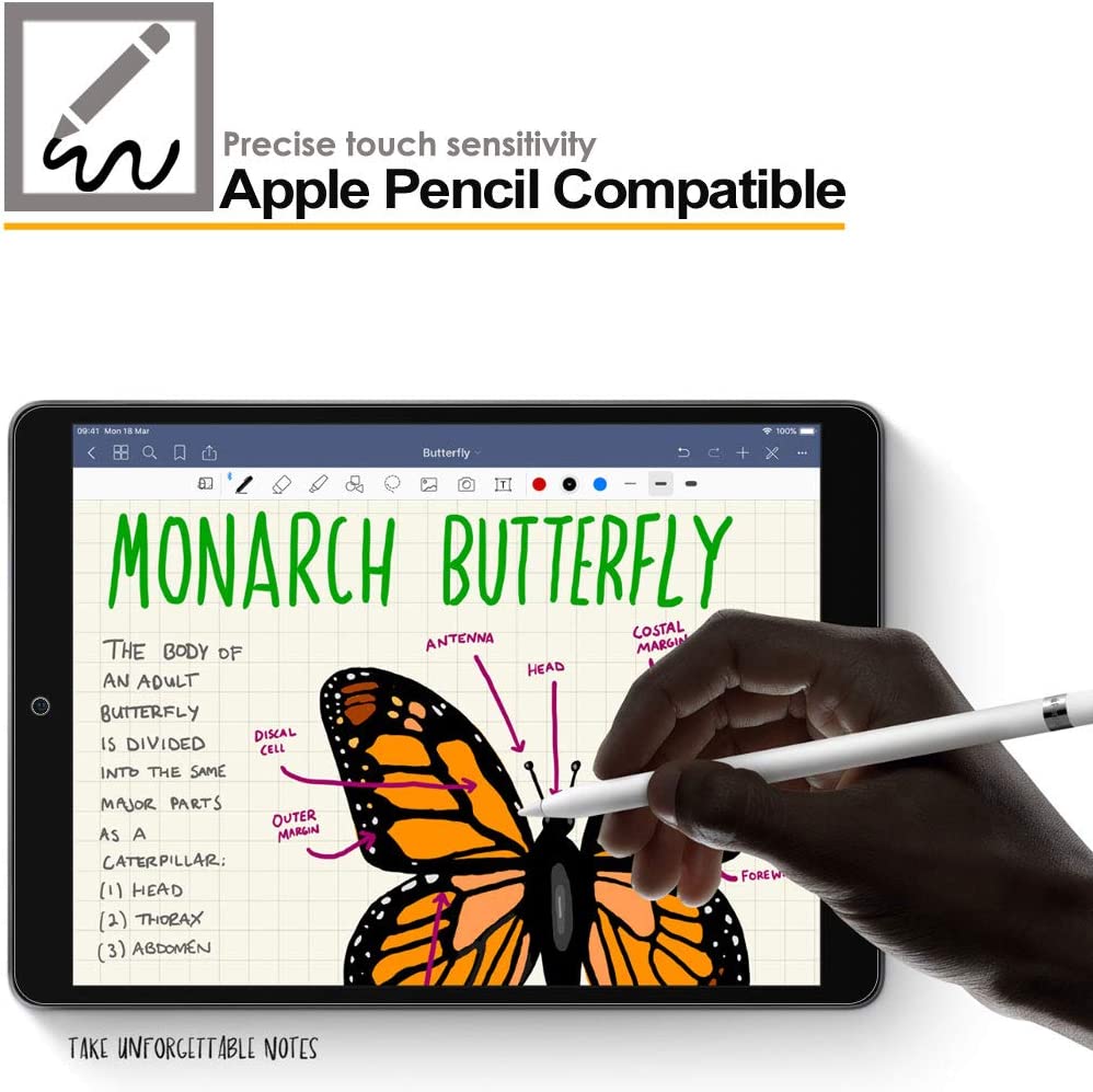 iPad Air 5 / 4 (5th/4th Generation) Clear Film Screen Protectors