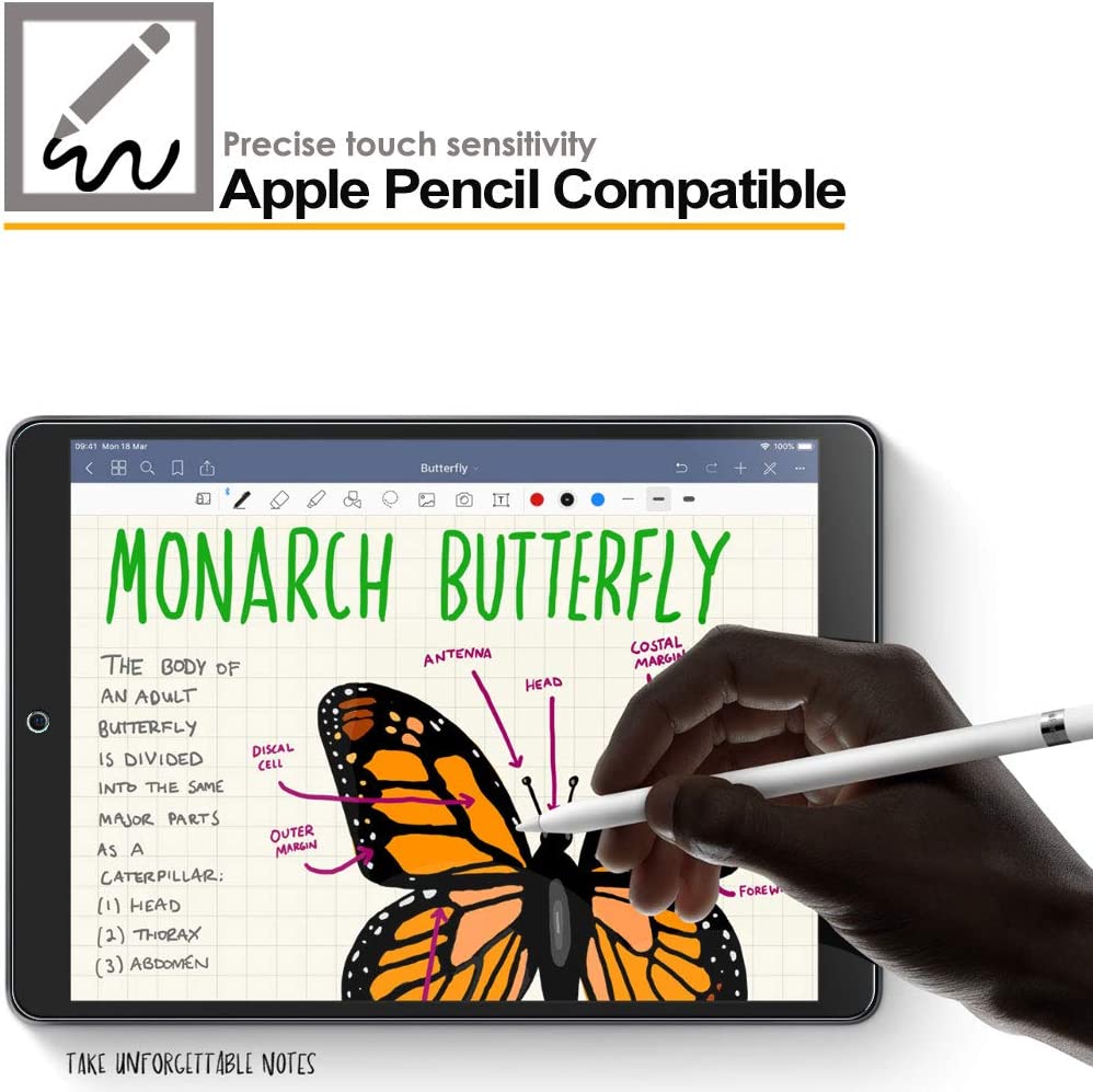 Apple iPad Air 3rd Gen 2019 / iPad Pro 10.5" Tempered Glass Screen Protectors